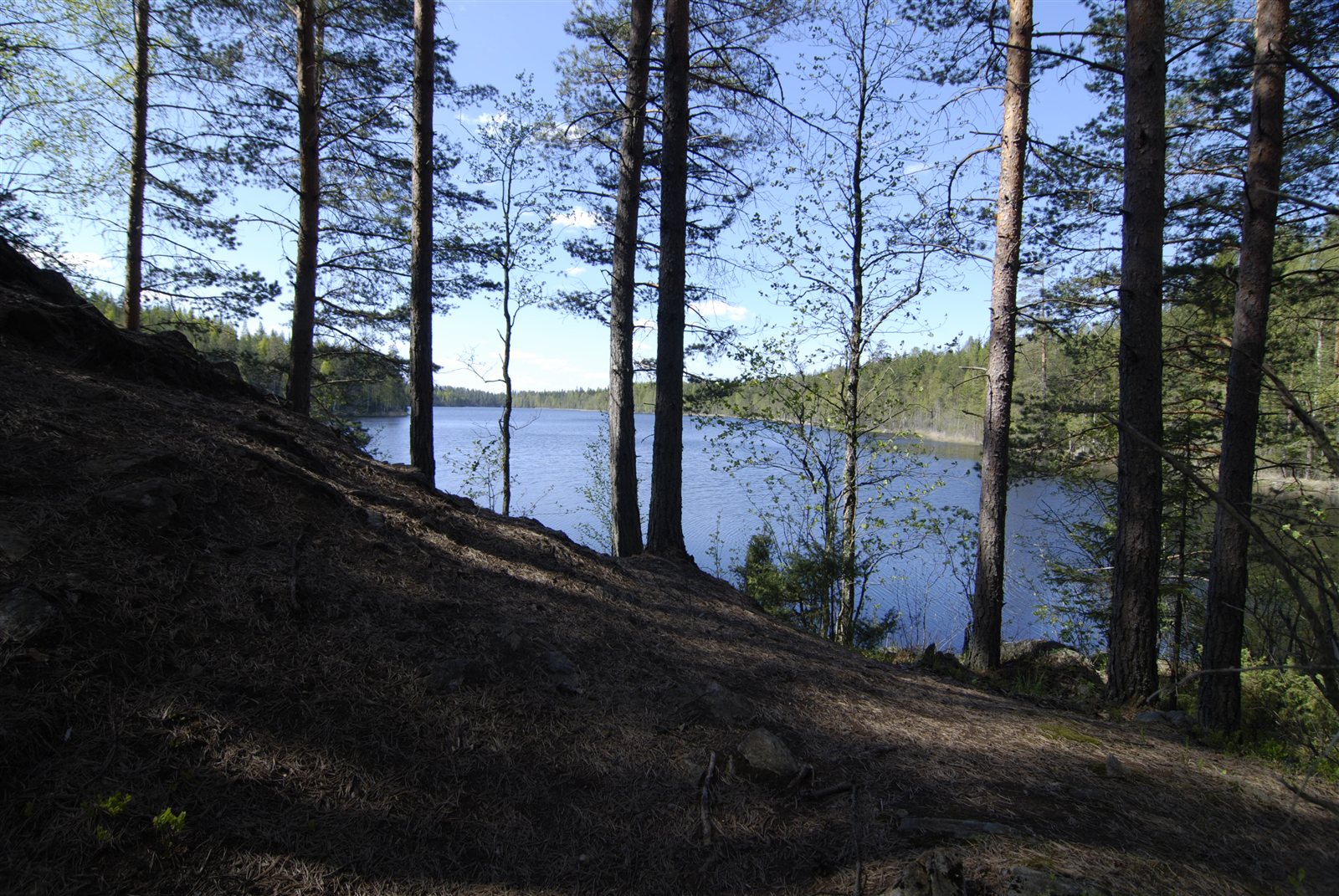 Metsäjärvi Evolla toukokuussa 2008