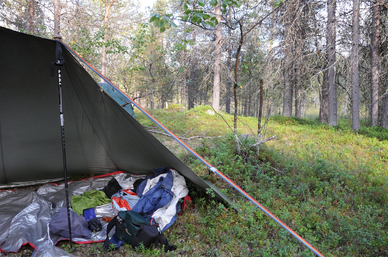 Tarpin alla makuualusta ja vaelluskamoja kasassa mäntykankaalla