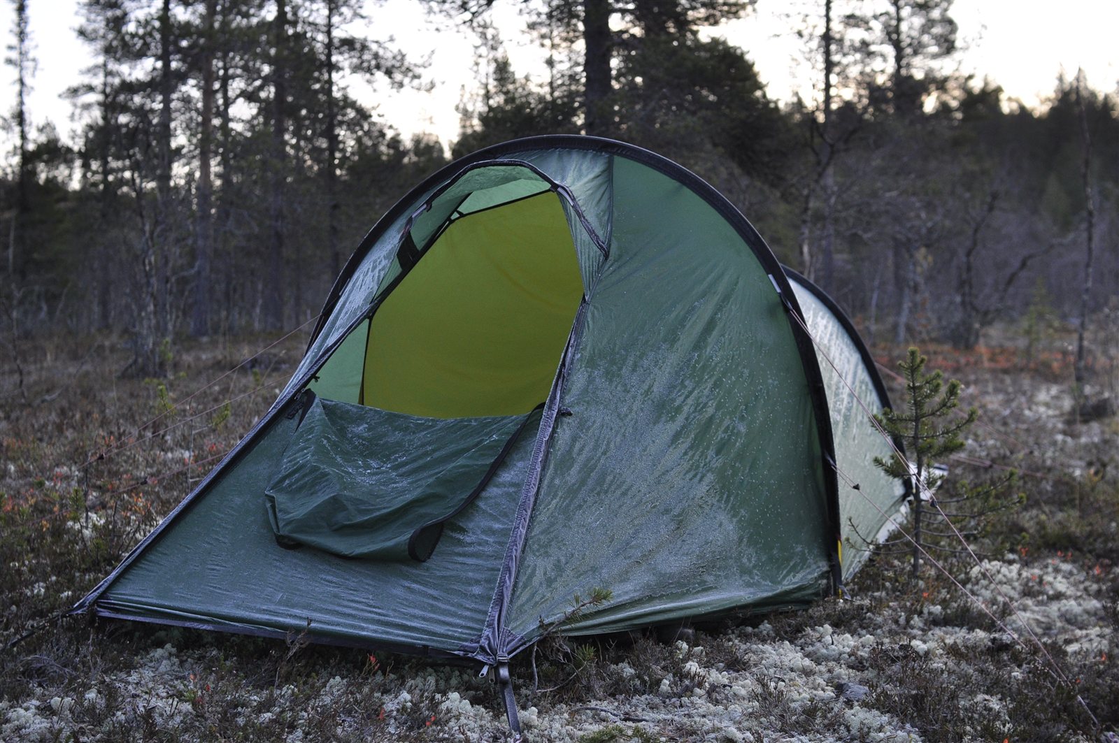 Kuurainen teltta aamuhämärässä