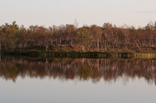 Kaldoaivi_2008_08_1843