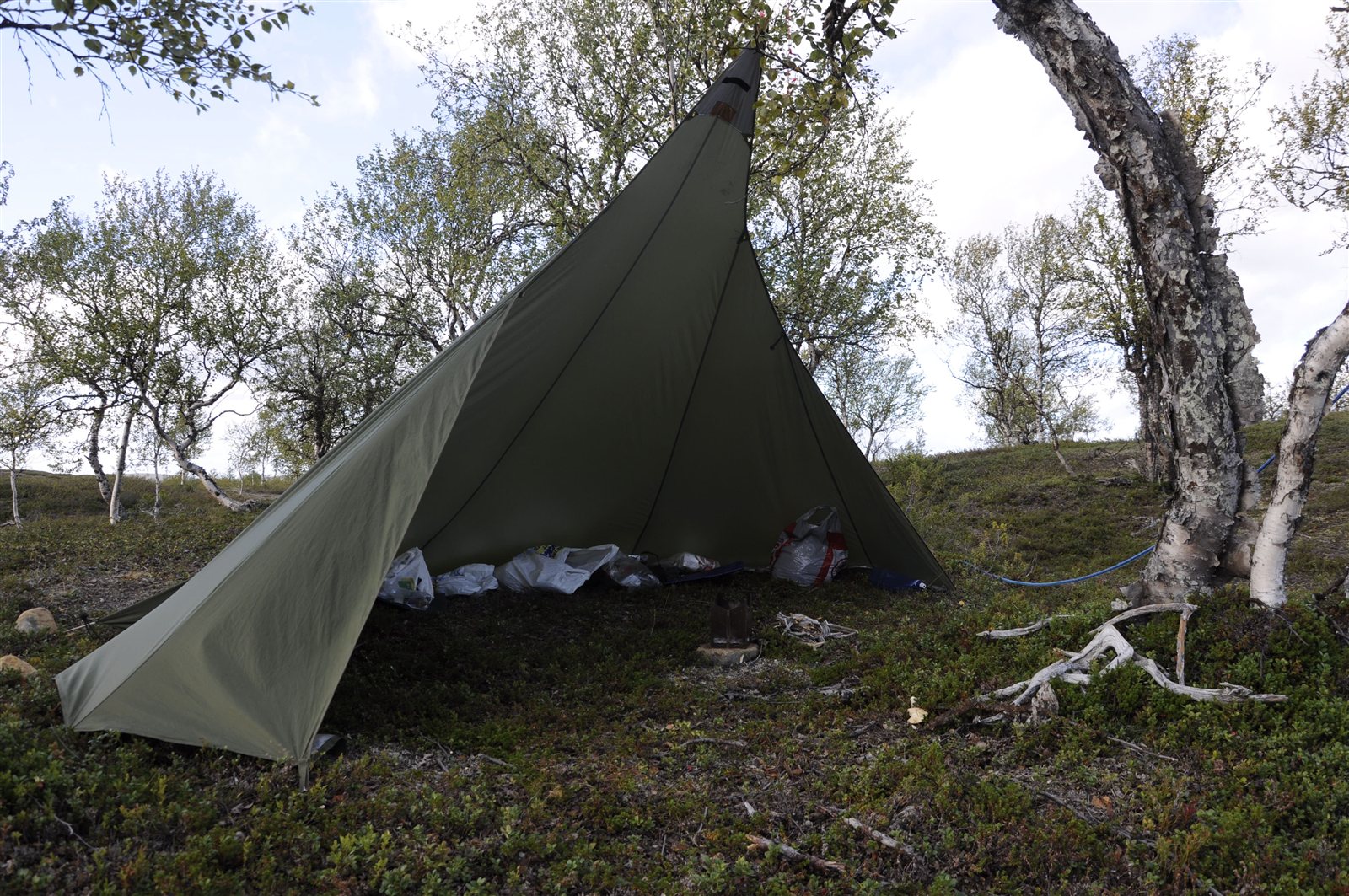 Pohjaton laavukangas tunturikoivikossa