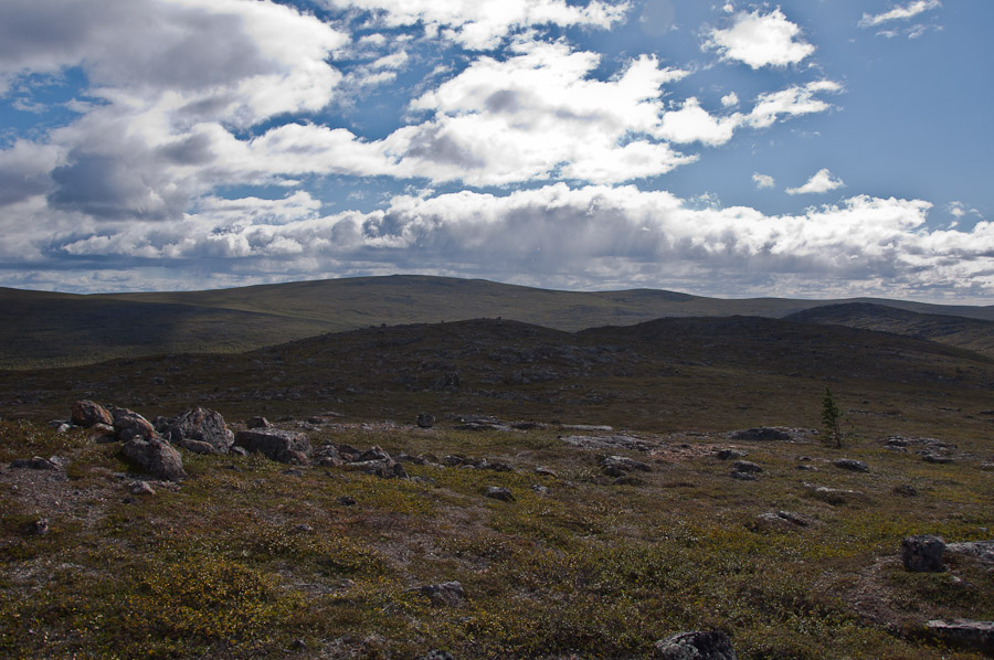 Avara tunturimaisema Muotkatuntureilla elokuussa 2010