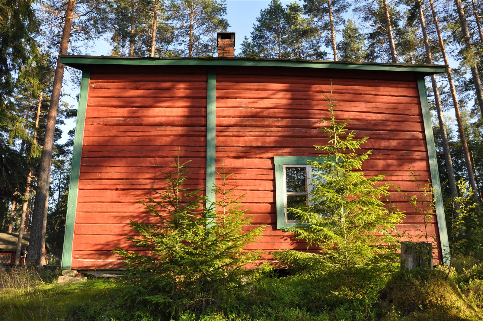 Punainen hirsimökki männikössä