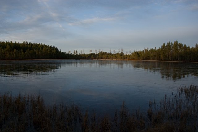 Kaakkolampi marraskuussa 2008
