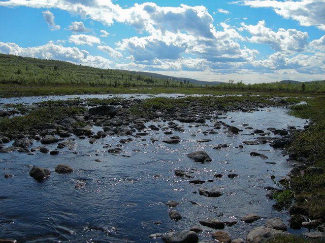 Kivikkoinen joki, Muotkatunturit heinäkuu 2008