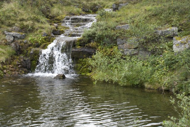 Pieni putous, Saariselkä elokuu 2008