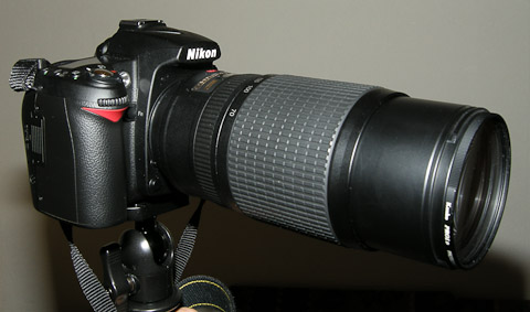 sauva