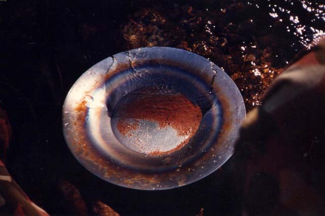 Palsi